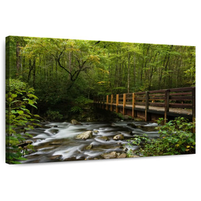 Alvord Great Smoky Mountains Stream