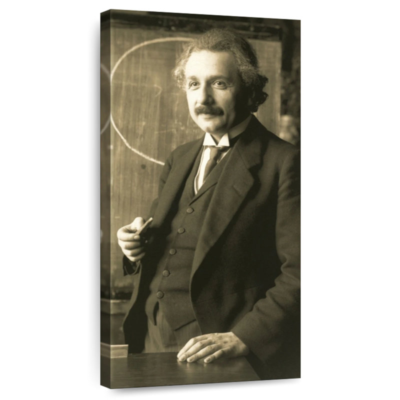Genius Minded Einstein, H 30 po x l 15 po