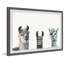 Art encadré Agawam Llama Squad-33744049-33744045