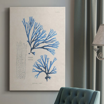 " Blue Marine Algae V "