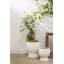 Pot à fleurs en céramique Goodlow-252062797
