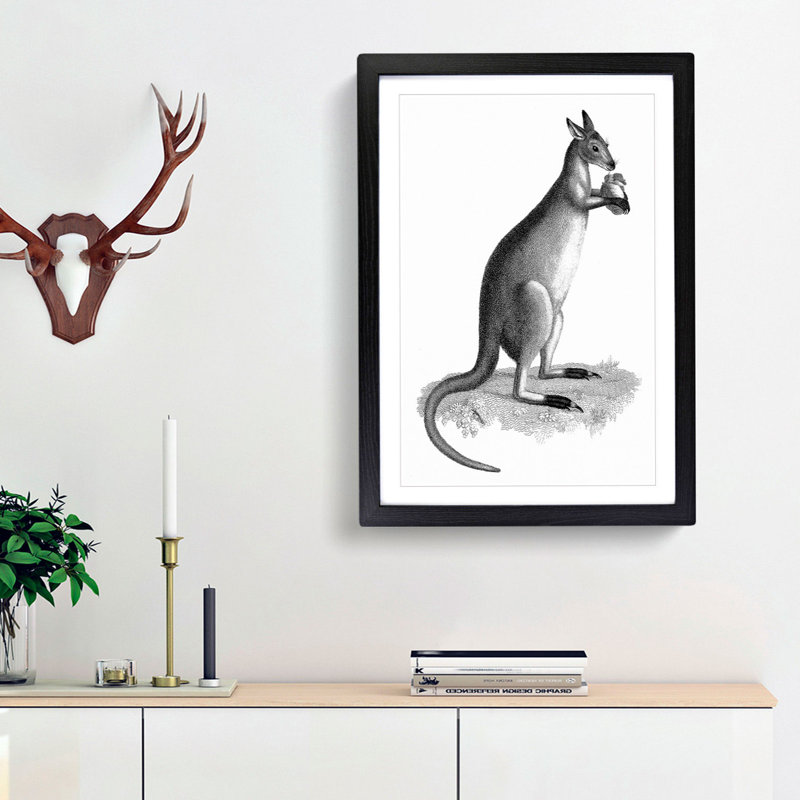 Kangaroo by George Shaw - Picture Frame Graphic Art Print, Black Framed, 48cm H x 36cm W x 2cm D