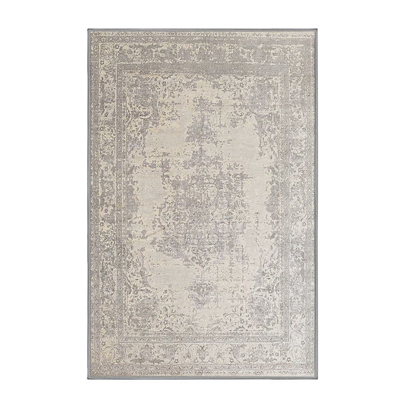 Hugette Oriental Indoor Rug, Rectangle 4' x 6'