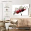 Renoncule rouge et blanc Harnek-107690761