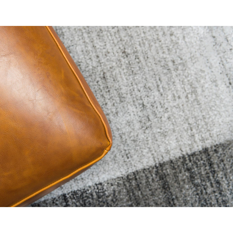 Dejourn Area Rug, Rectangle 66 x 91cm