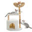 Arbre à chat