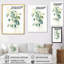 «White Green Minimalisme Eucalyptus Essence» sur toile-753083336-753083341
