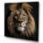 Wrapped Canvas