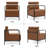 Tahia Upholstered Accent Chair with Metal Frame