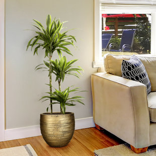 Gold Ribbed Stone Indoor Plant Pot Handmade Pot Planter