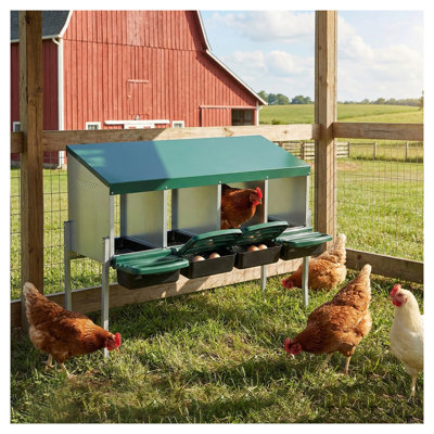 Nid de poule à 4 trous, avec pattes et couvercle pour protéger les œufs, vert