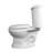 Sheffield Dual-Flush Round Two-Piece Toilet ( Slow Close Seat Included)