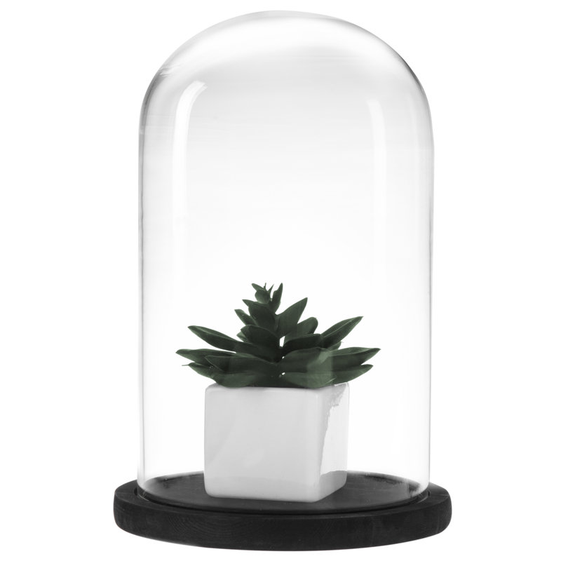 Abstract Cloche Or Water Globe