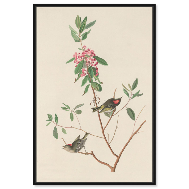 Mountain Laurel, reproduction d'art sur toile par Art Remedy, H 16 po x l 11 po, Cadre noir