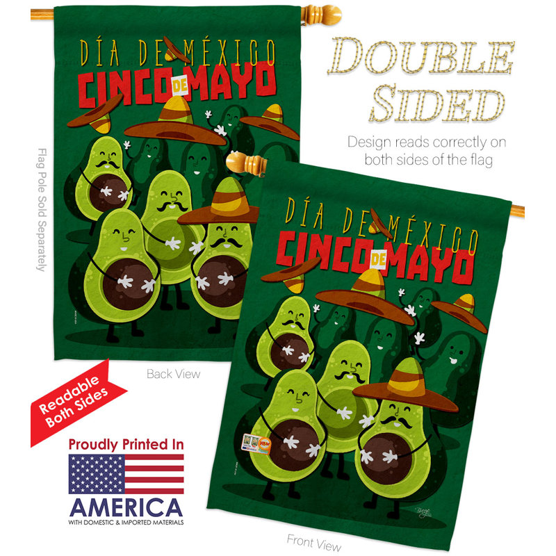 Drapeau de maison 40 po x H 28 po Avocado Fiesta