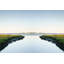 Still Water Path Print