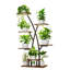 Plant Stand