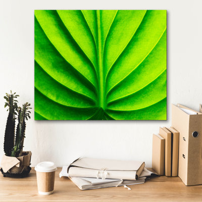 «Green Design 2» par Photoinc Studio, art mural sur toile