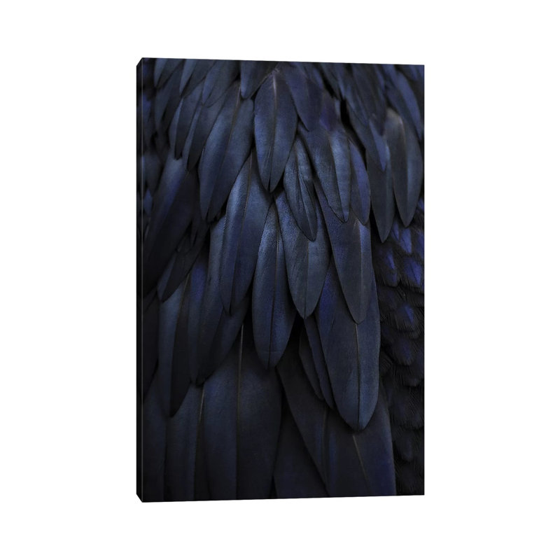 Feathers Dark Blue by Monika Strigel - Wrapped Canvas Print, 20.32 cm H x 30.48 cm W