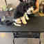 Customer photo 2 of 5