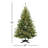 6ft. Kincaid Spruce Tree with Clear Lights