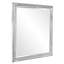 Omni Rectangle Beveled Mirror