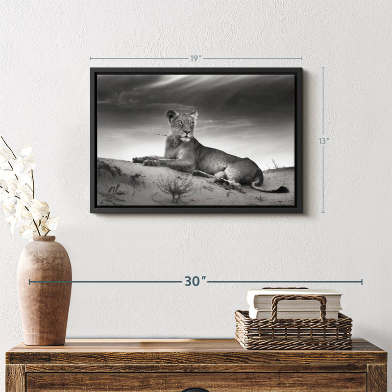 Animal «Lioness Canvas Print», H 13 po x l 19 po