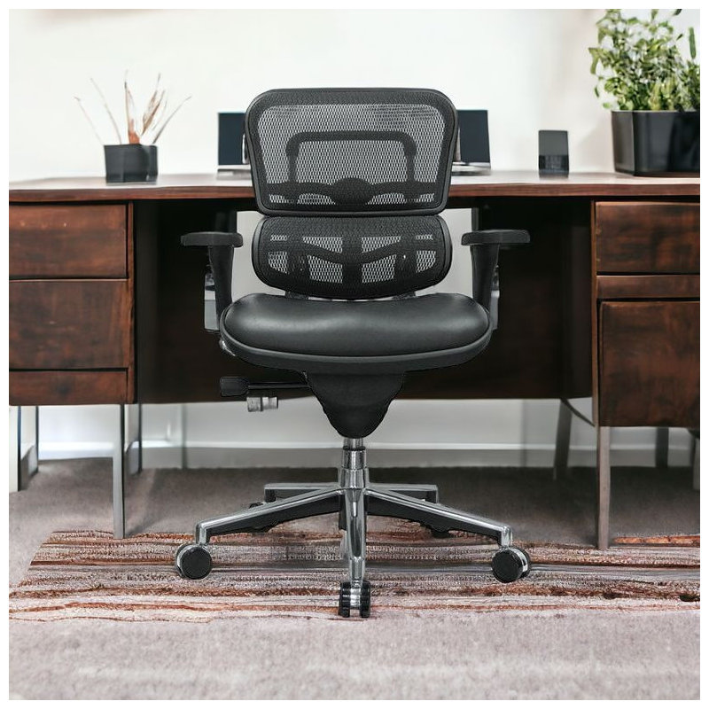 Ergonomic Task Chair