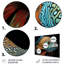 Fish Portrait Photo - Animals Metal Wall Decor Set