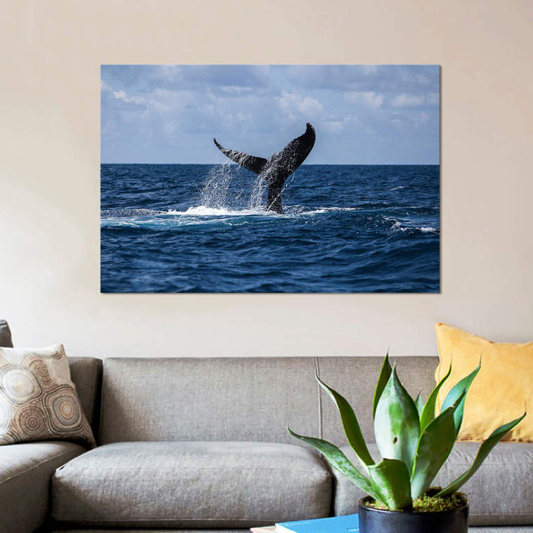 " A Humpback Whale Slaps Its Tail On The Surface Of The Atlantic Ocean " by Ethan Daniels, 8" H x 12" W x 0.75" D, No Mat