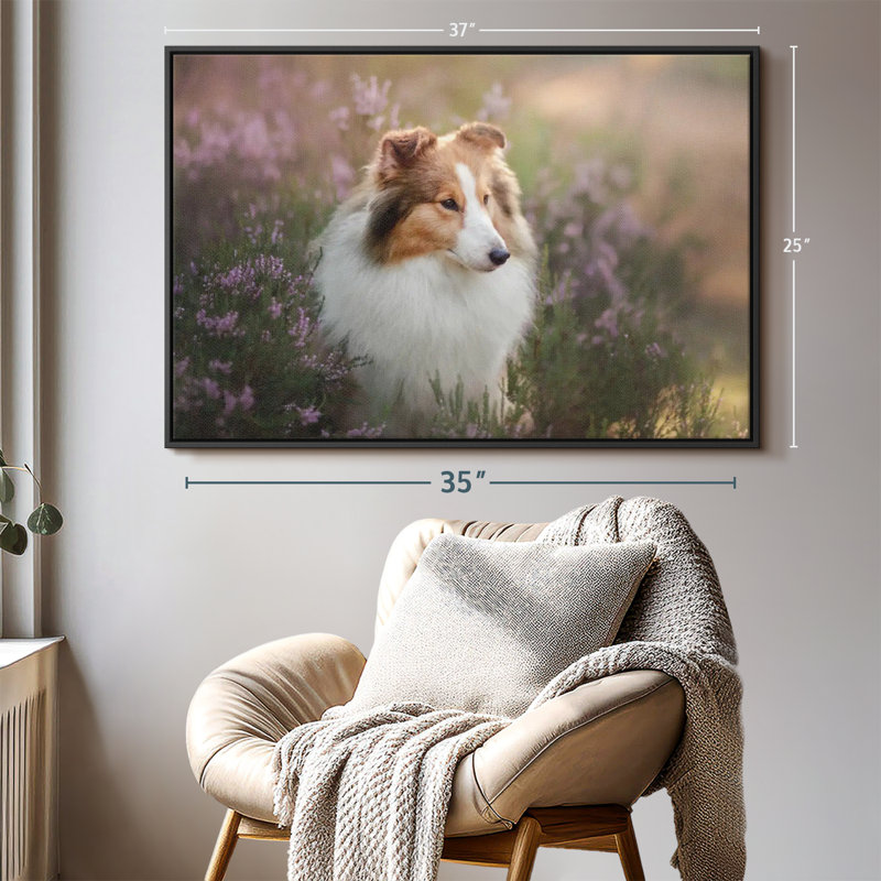 Sheltie et fleurs, reproduction sur toile, H 25 po x l 37 po