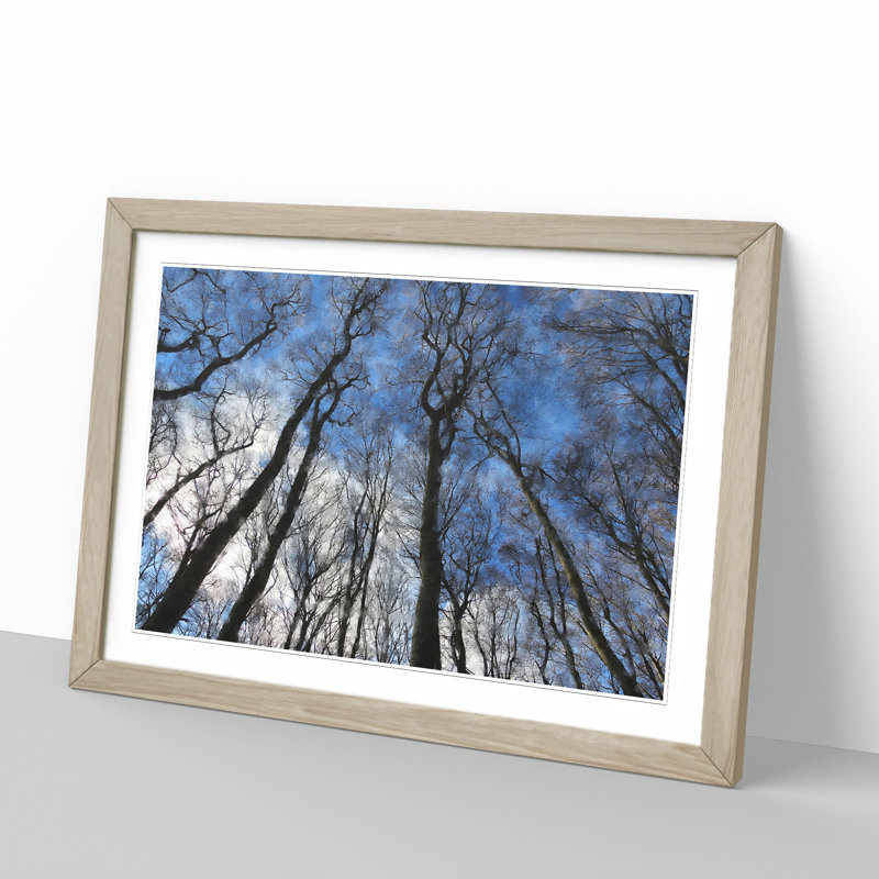 Beautiful Forest - Picture Frame Painting, Oak Framed, 27cm H x 36cm W x 2cm D