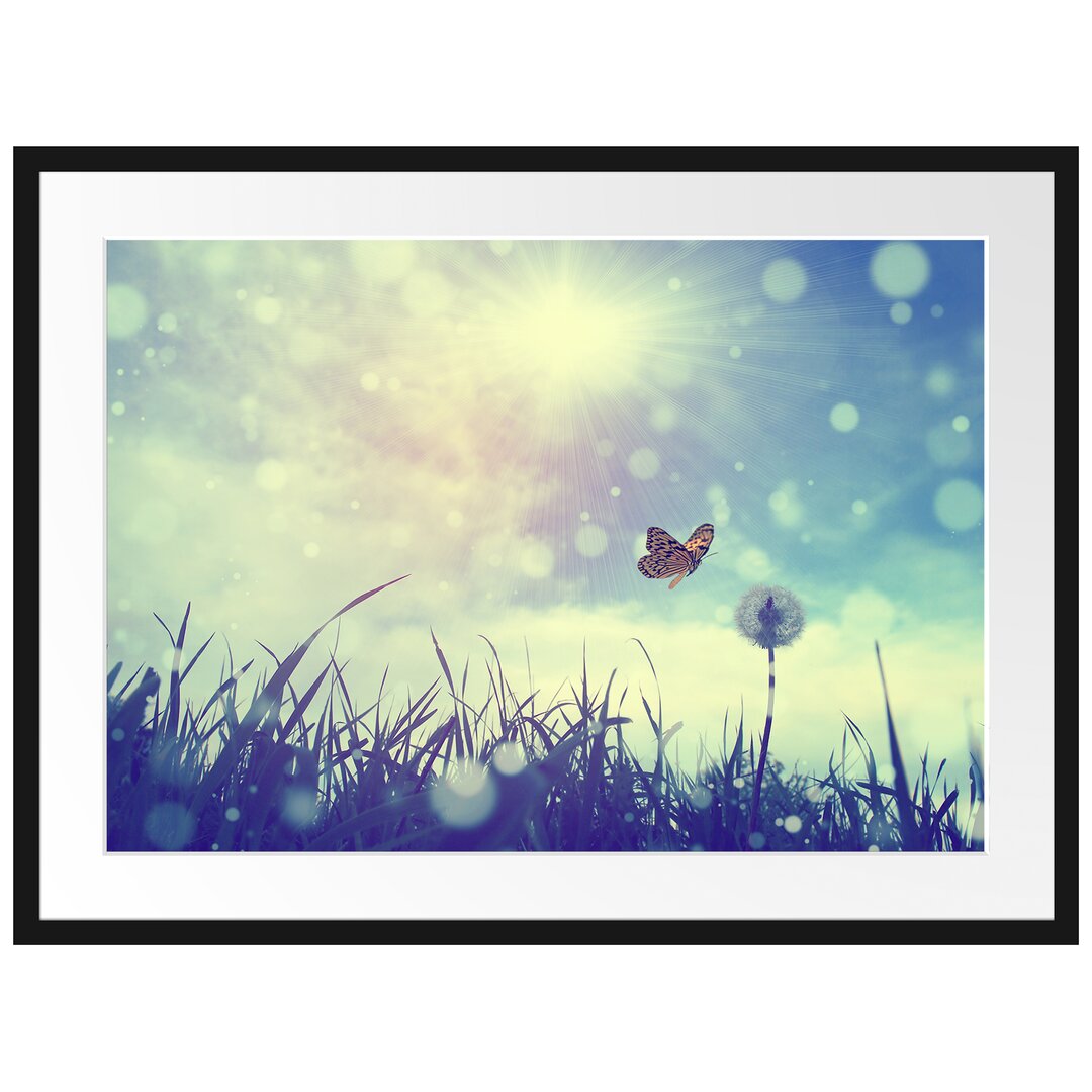 Gerahmtes Poster Schmetterling fliegt zu Pusteblume