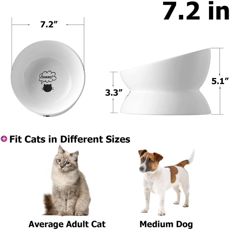 Cat Food Bowl Y YHY Color: White, Overall Height: Medium (5.1)