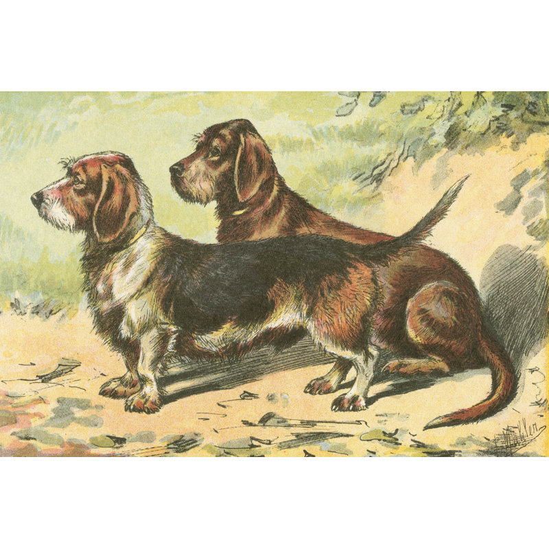 Mans Best Friend IX - Wrapped Canvas Print, 30cm H x 46cm W x 3.8cm D