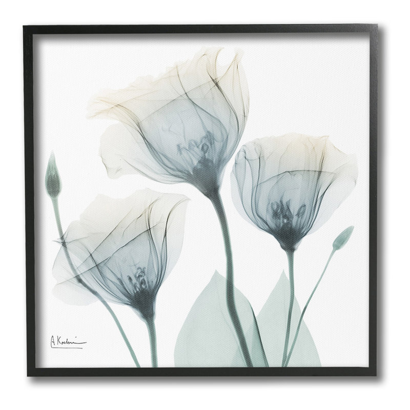 Douces tulipes opaques, giclée par Albert Koetsier, Giclée encadrée blanc bord de mer, H 12 po x l 12 po