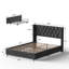 Lit rembourré en velours avec 4 tiroirs de rangement Better Home Products Izayah-812012408-812012294