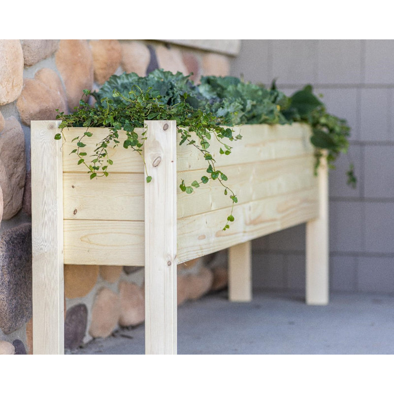 Jardinière surélevée Raised Garden, L 60 po x l 12 po x H 22 po