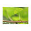 No Frame Print on Canvas-1348659124