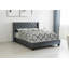 Lit double contemporain avec tête de lit capitonnée et pieds en plastique durables, parfait pour les chambres à coucher modernes