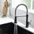 Commercial Black And Nickle Kitchen Faucet With Pull Down Sprayer, Single Handle Single Lever Kitchen Sink Faucet-125225676