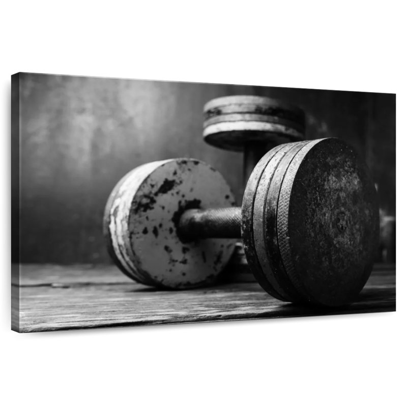 Sireci Old School Dumbbells, 20" H x 30" W