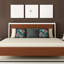 Coussin Wesley Bird Rather Be an Outlaw-7494353