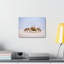 Art mural majestueux crabe-122246955