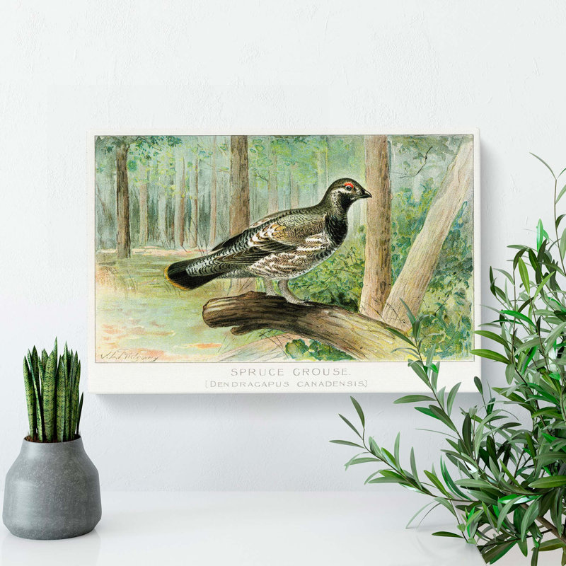 Spruce Grouse by J.L. Ridgway - Wrapped Canvas, 35cm H x 50cm W x 3cm D