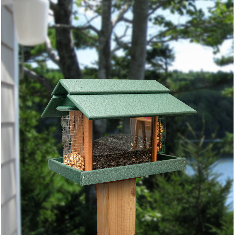 Mangeoire pour oiseaux