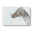 Giraffe Profile In Abstract - Wrapped Canvas-55312195