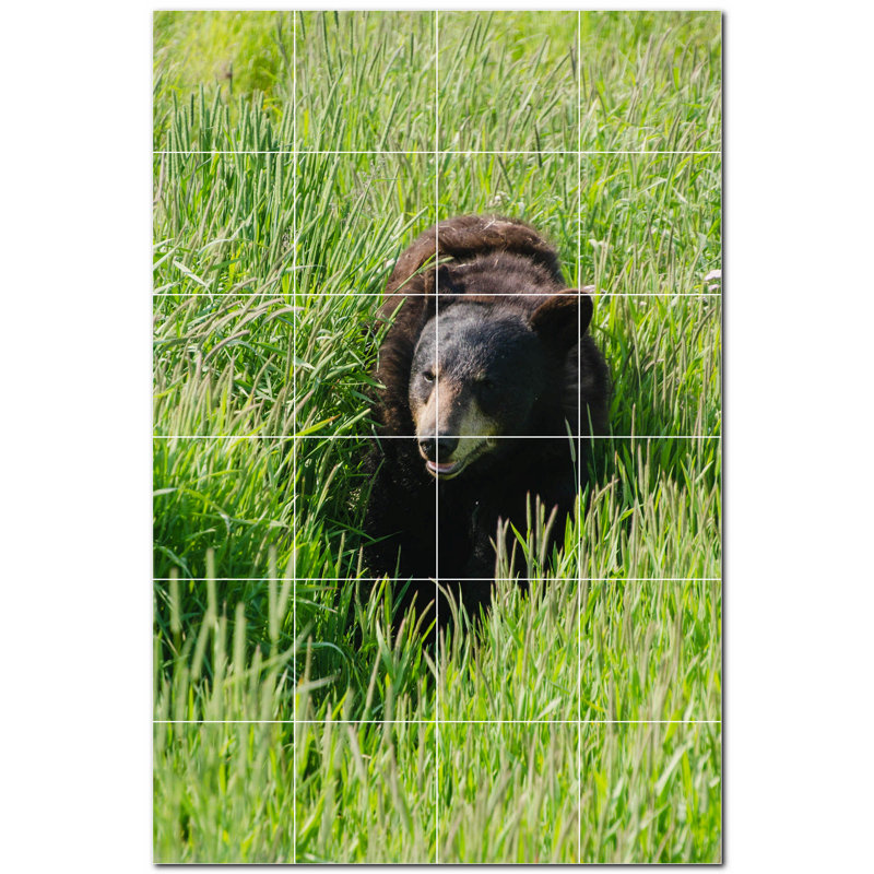 Murale en céramique satinée Bear Photo 8 po x 8 po