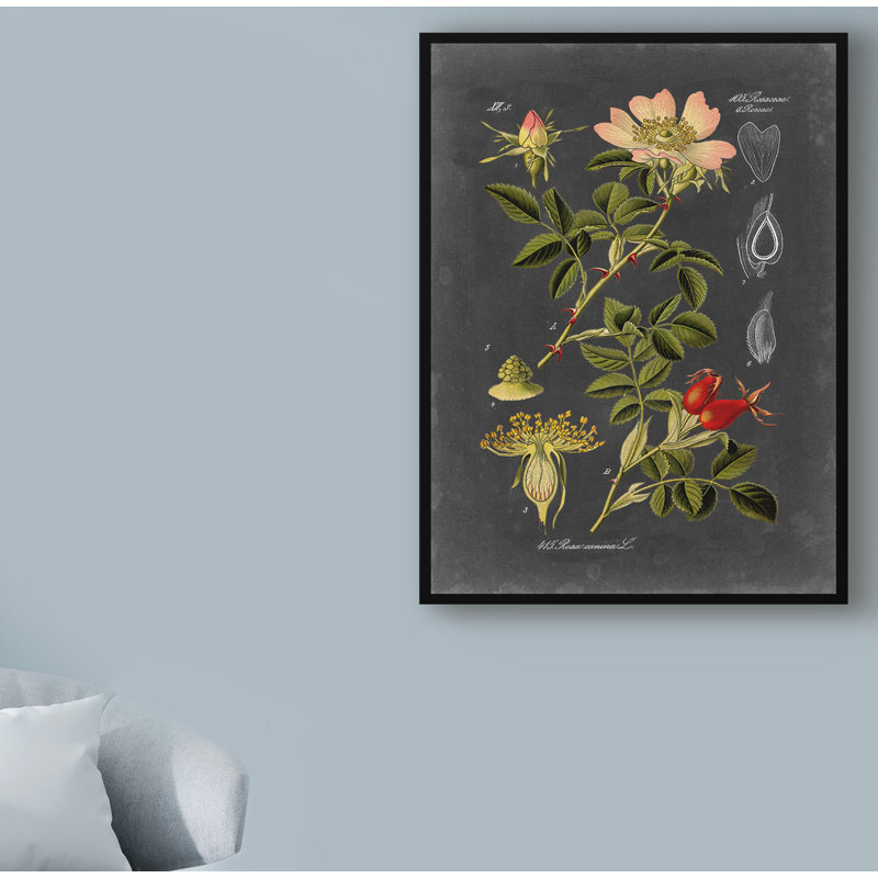 Mid-Century, 19" H x 14" W x 2" D