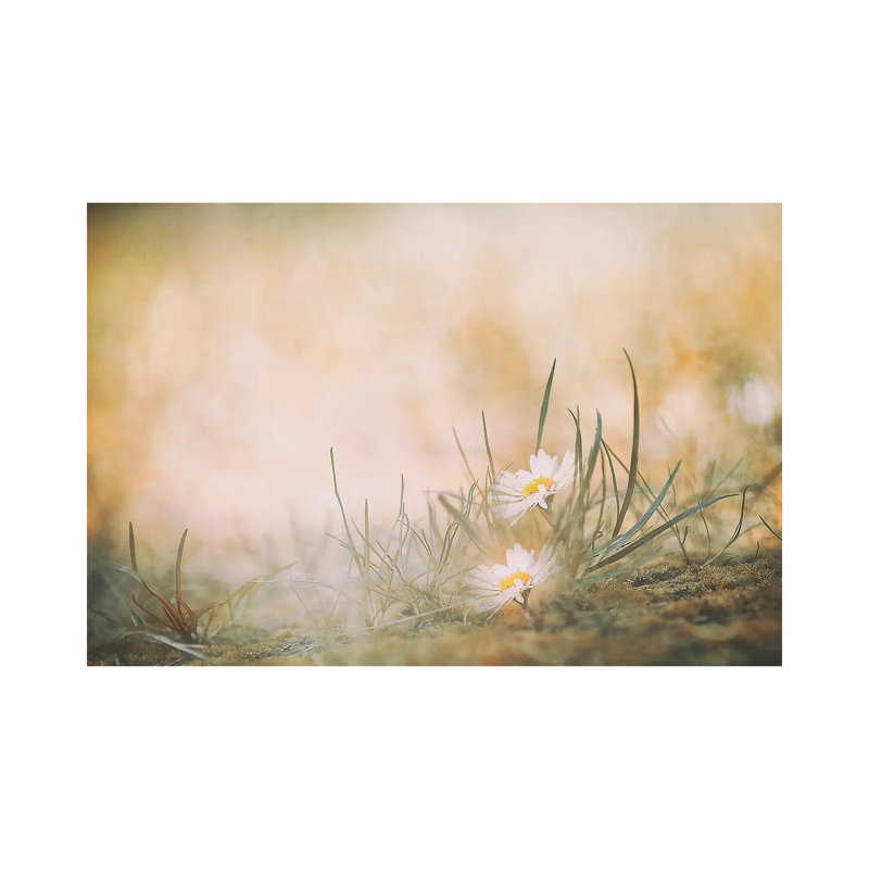 Jana Ajlec - Wrapped Canvas Print, 66.04 cm H x 45.72 cm W x 1.91 cm D